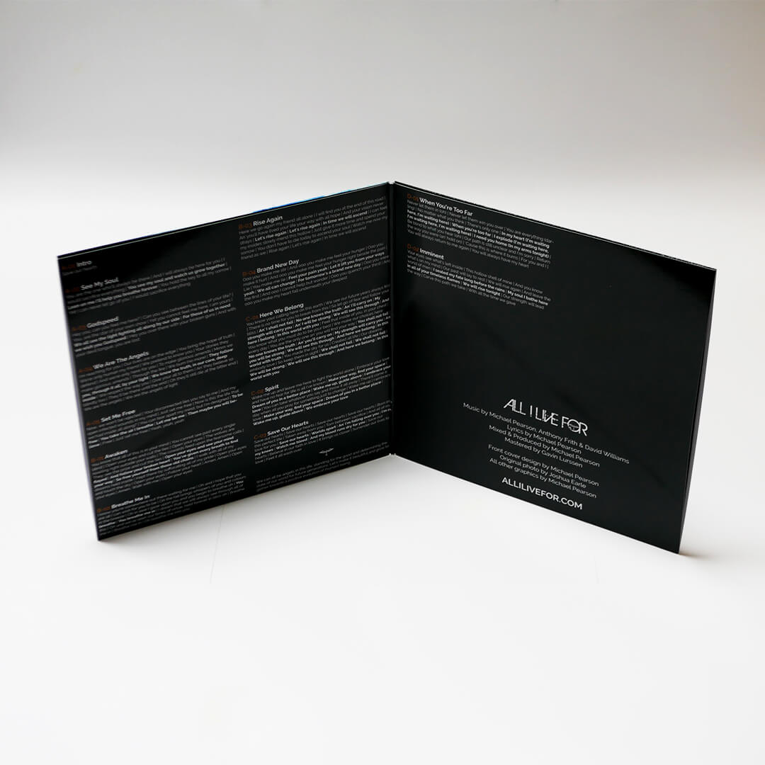'We Are The Angels' Album Double Vinyl