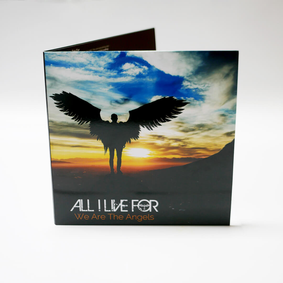 'We Are The Angels' Album Double Vinyl